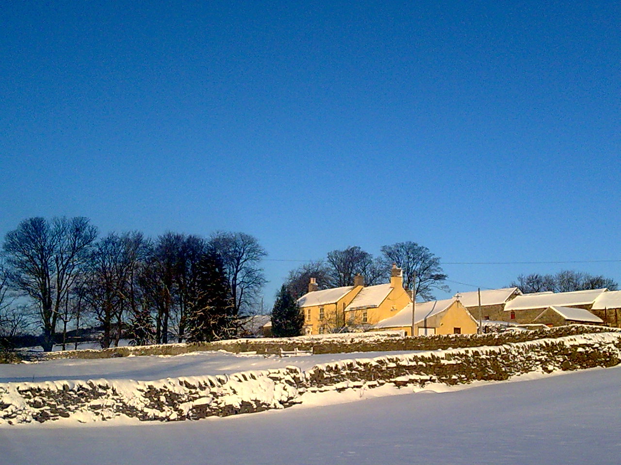 Newlands Hall